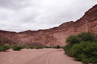 DSC02092