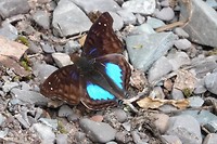 DSC02250
