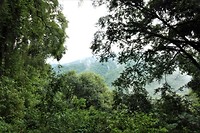 DSC02263 (2)