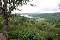 DSC02268 (2)