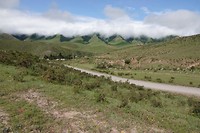 DSC02292