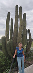 IMG_20200220_185455
