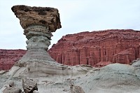 DSC02334 (2)