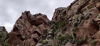 IMG_20200222_104515