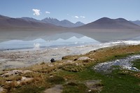 DSC02410