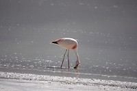DSC02432