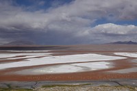 DSC02490