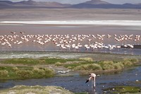 DSC02516