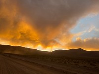 IMG_1774