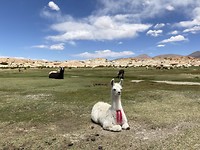 IMG_1846