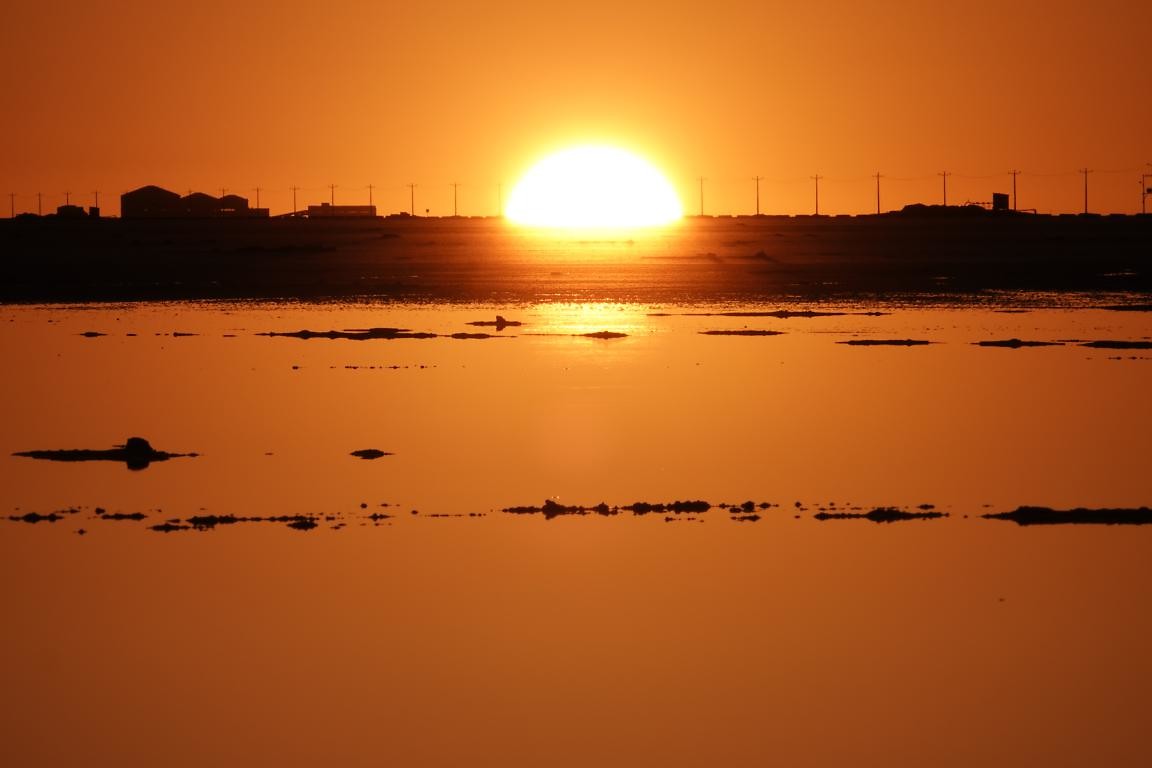DSC02646
