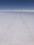 IMG_5514