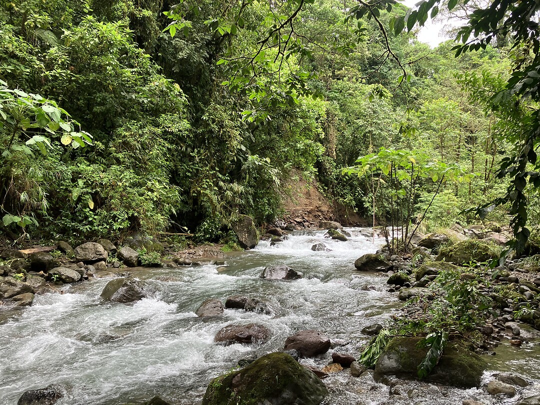 La Fortuna