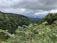 Monteverde