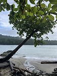 Manuel Antonio