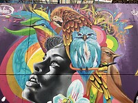 Comuna 13, Medellín