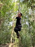 Amazone