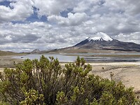 Nationaal Park Lauca