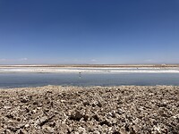 Atacama-woestijn