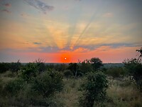 Krugerpark
