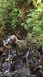 Tarzan...