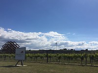 zoek de verborgen tasting room!