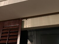 Ons huisgenootje