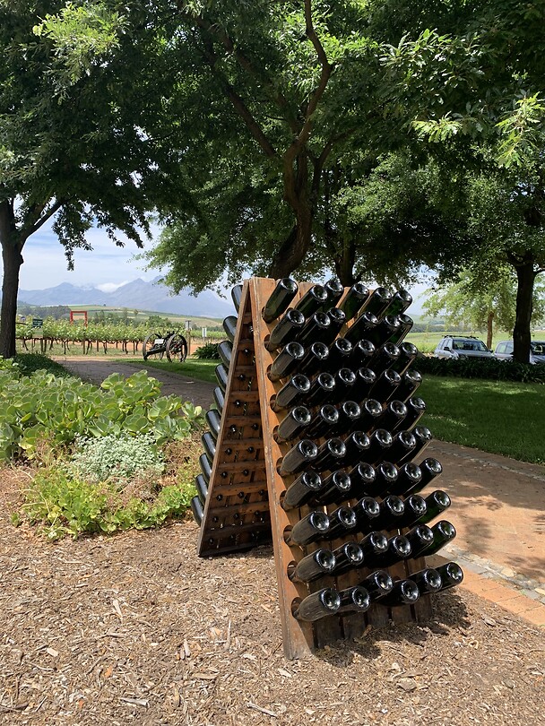 Wine farm Stellenbosch