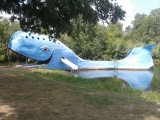 the bluevwhale bij Catoosa