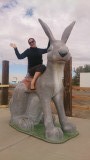 Hare, Kitty Kitty Kitty!