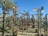 The Bottle Tree Ranch