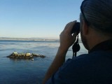 Beesten kijken in het Monterey Bay aquarium