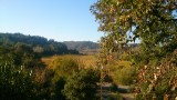 De wijngaarden van de Sonora valley