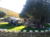 Gezellige drukte @ the winery