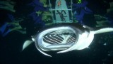Snorkelen met mantaroggen.