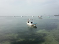 A1F68781-F903-4BA5-8F0D-5CA54558F7CD