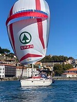 Promotie in porto
