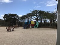 D73AB10A-614E-42E3-992E-314EFAE00A74