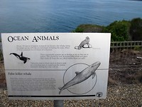 Eden
