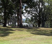 golfterrein met de kangoeroes