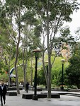 Birrarung Marr park