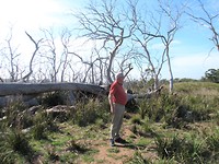 Op weg naar Cape Otway