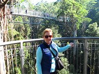 Treetop Walk