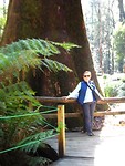 Otway Park