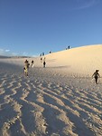 sandsurfen