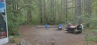 De dagafsluiter: 🌲🌲🥩🍔🌭