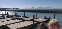 Zeeleeuwen, SS Jeremiah O'Brien, Golden Gate
