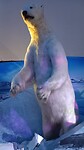 The King of the Arctic