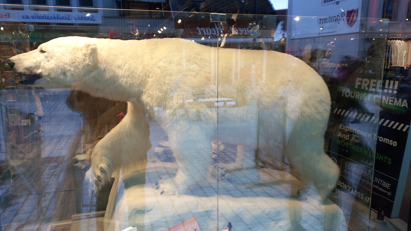 The King of the Arctic.