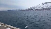 Uitzicht over de fjord